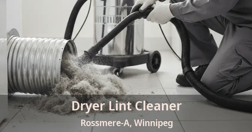 Dryer Lint Cleaner Rossmere-A, Winnipeg - MB