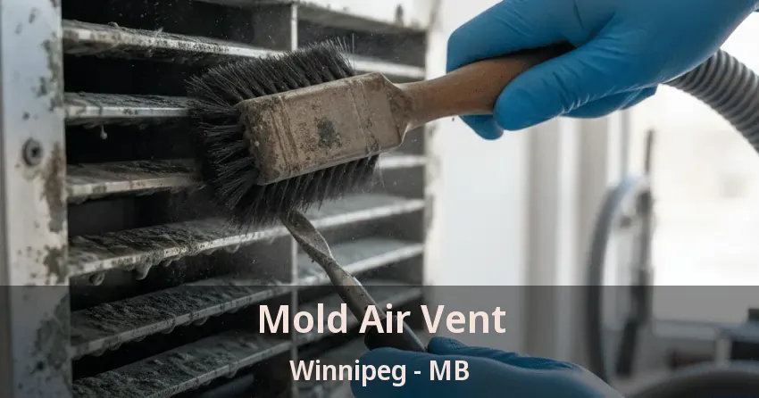 Mold Air Vent Winnipeg - MB